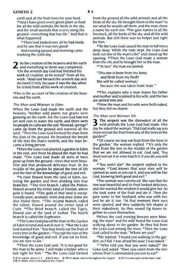 NLT Compact Bible, Filament-Enabled Edition, Holy Dusty Pink