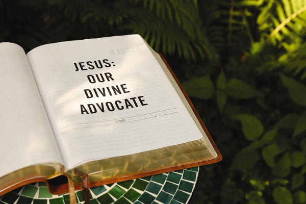 The Jesus Bible, ESV Edition, Tan