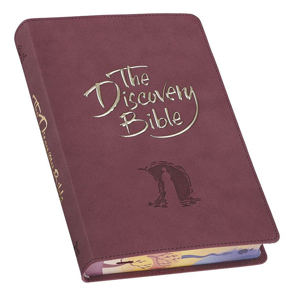 NLT The Discovery Bible, Purple