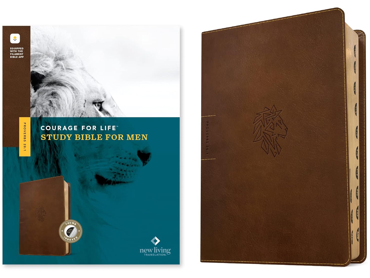 NLT Courage For Life Study Bible for Men, Filament-Enabled Edition, Ru –  The Solid Rock