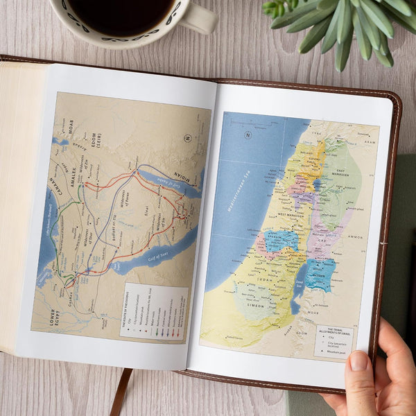 CSB Single-Column Personal Size Bible, Digital Study Edition, Brown