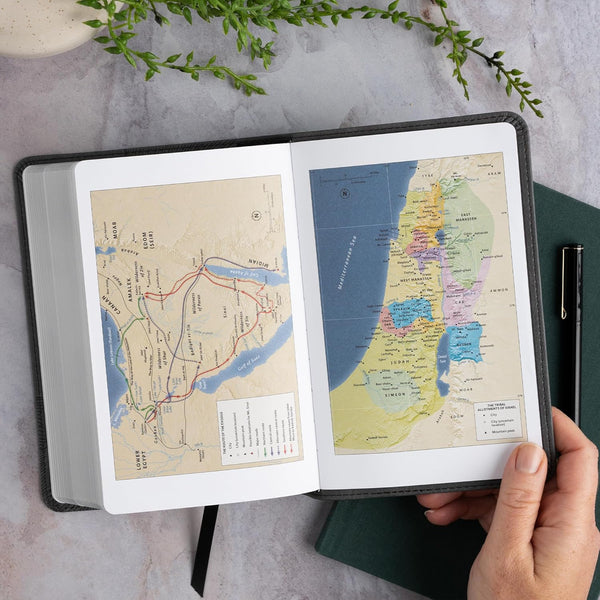 CSB Single-Column Compact Bible, Digital Study Edition, Charcoal