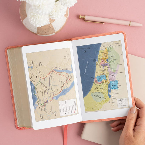 CSB Single-Column Compact Bible, Digital Study Edition, Blush