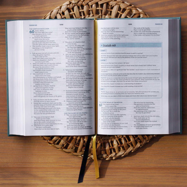NKJV The Bible Study Bible, Comfort Print, Leathersoft, Brown