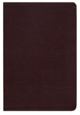KJV Life in the Spirit Study Bible, Bonded Leather, Burgundy