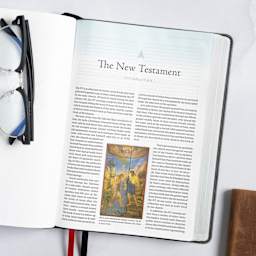 CSB Baker Illustrated Study Bible, Leathertouch, Charcoal
