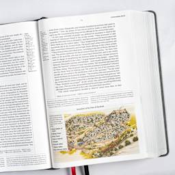 CSB Baker Illustrated Study Bible, Leathertouch, Charcoal