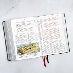 CSB Baker Illustrated Study Bible, Leathertouch, Charcoal