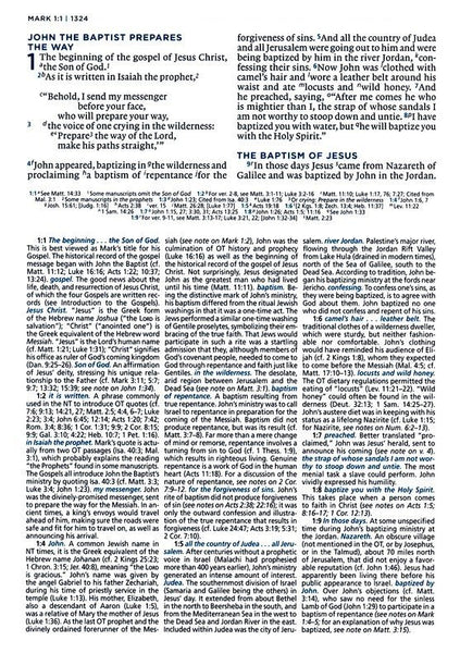 ESV MacArthur Study Bible, 2nd Edition, Leathersoft - Black