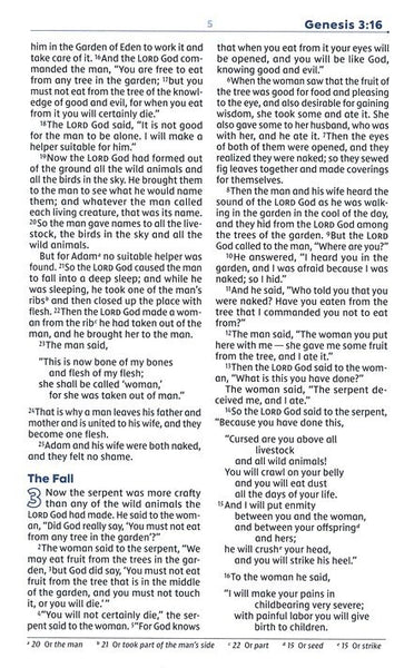 NIV, Teen Study Bible, Leathersoft, Teal/Blue