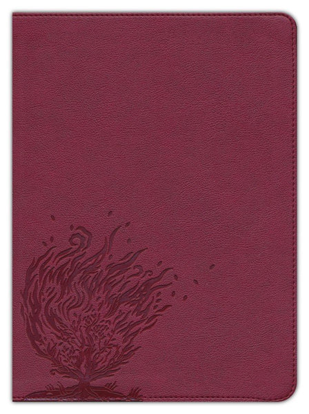 CSB Experiencing God Bible--Soft Leather-Look, Burgundy