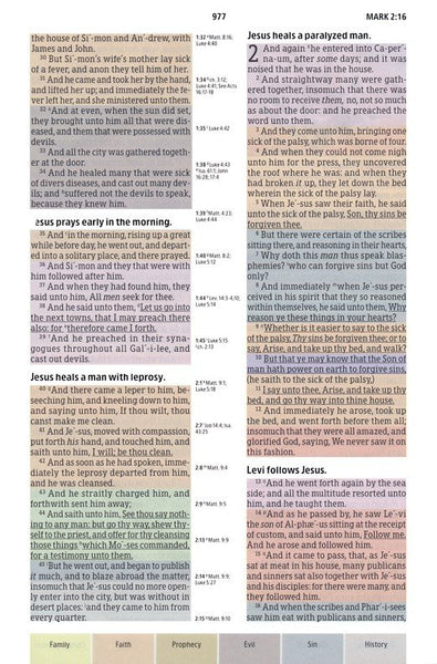 KJV Rainbow Study Bible, Black LeatherTouch